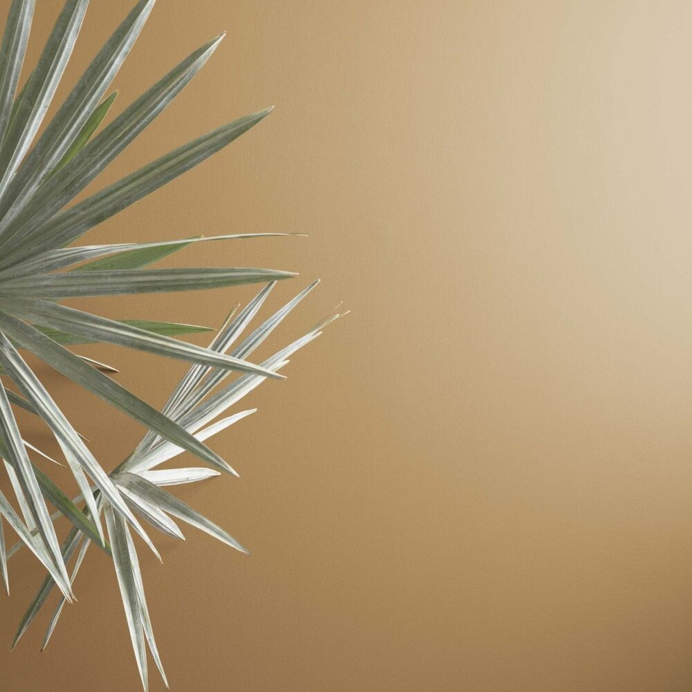 Benjamin Moore Super Spec HP DTM Alkyd Semi-Gloss Baked Cumin Color Oil Paint